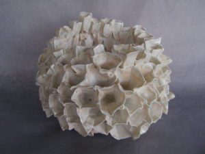 Accueil | Marie Bras SNB11846 | Marie Bras | Accueil | Atelier | Terre et Terres | 12 février 2025