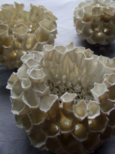 SNB11945 | Terre et Terres | Exposition | Accueil | Article | Terre et Terres | 12 février 2025