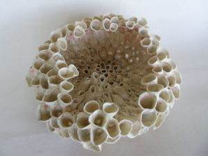 SNB12400 | Terre et Terres | Exposition | Accueil | Article | Terre et Terres | 12 février 2025