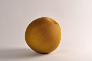 Accueil | Terre et Terres image3 3 | Terre et Terres | Exposition | Accueil | Article | Terre et Terres | 12 février 2025