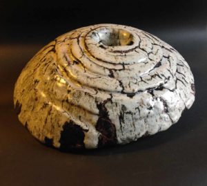 Accueil | Terre et Terres image15 4 | Terre et Terres | Exposition | Accueil | Article | Terre et Terres | 12 février 2025