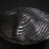 image16 3 | Terre et Terres | Exposition | Accueil | Article | Terre et Terres | 12 février 2025