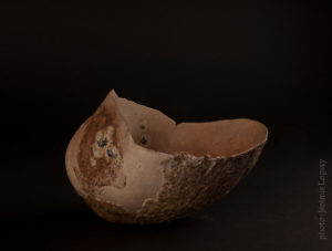 image2 5 | Terre et Terres | Exposition | Accueil | Article | Terre et Terres | 12 février 2025