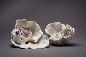 image2 7 | Terre et Terres | Exposition | Accueil | Article | Terre et Terres | 12 février 2025