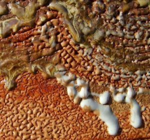 Accueil | Terre et Terres image3 25 | Terre et Terres | Exposition | Accueil | Article | Terre et Terres | 12 février 2025