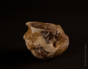 image4 5 | Terre et Terres | Exposition | Accueil | Article | Terre et Terres | 12 février 2025