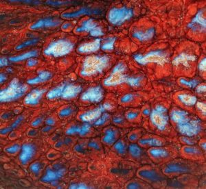 image5 24 | Terre et Terres | Exposition | Accueil | Article | Terre et Terres | 12 février 2025