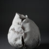 image8 3 | Terre et Terres | Exposition | Accueil | Article | Terre et Terres | 12 février 2025