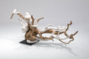 Accueil | Terre et Terres NOS MERES VEILLENT | Terre et Terres | Exposition | Accueil | Article | Terre et Terres | 12 février 2025