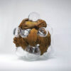 SUPERNOVA | Terre et Terres | Exposition | Accueil | Article | Terre et Terres | 12 février 2025