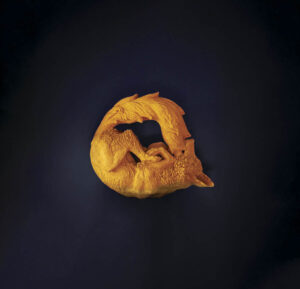 renard catalogue | Terre et Terres | Exposition | Accueil | Article | Terre et Terres | 12 février 2025