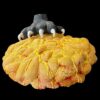 possessio | Terre et Terres | Exposition | Accueil | Article | Terre et Terres | 12 février 2025