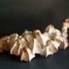 dorsale3 | Manon Berthellot | Dorsale | Produit | 50,00 € | 6546 | sculpture céramique, pièce unique | Manon Berthellot | Terre et Terres | 8 mars 2022