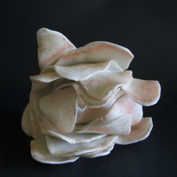 eclosion3 | Manon Berthellot | Utilitaire | Rose | Utilitaire | Produit | Terre et Terres | 24 août 2022