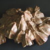floralys | Manon Berthellot | Florale | Produit | 100,00 € | 9584 | Concrétion Céramique | Manon Berthellot | Terre et Terres | 9 janvier 2023