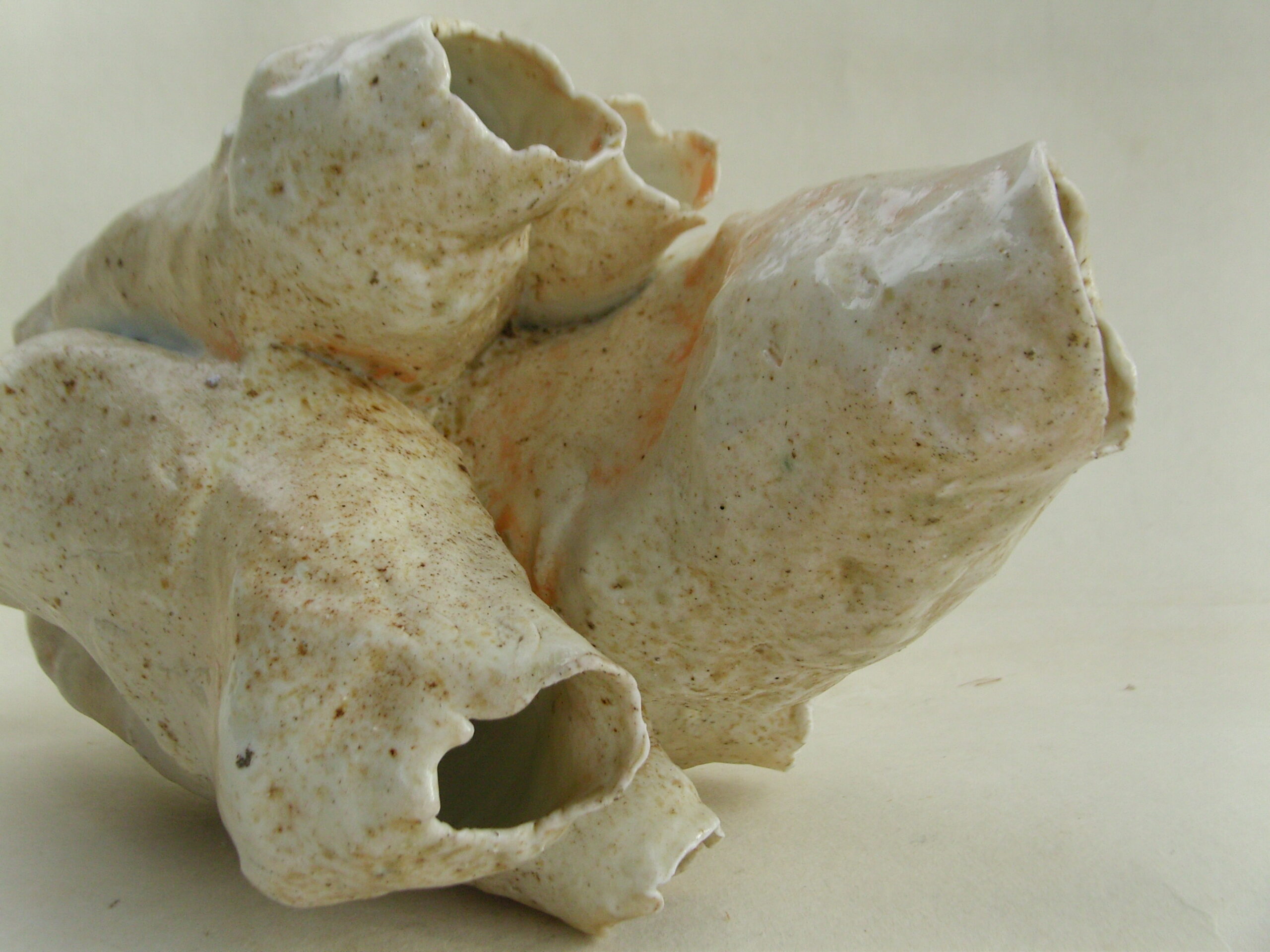 SNB18213 scaled | Manon Berthellot | "Cétacéa" | Produit | 400,00 € | "Cétacéa" Porcelaine modelée, pièce unique, cuisson au bois à 1300°, 50h, Four Anagama. Dépôt de cendres naturel. | Manon Berthellot | Terre et Terres | 29 août 2025