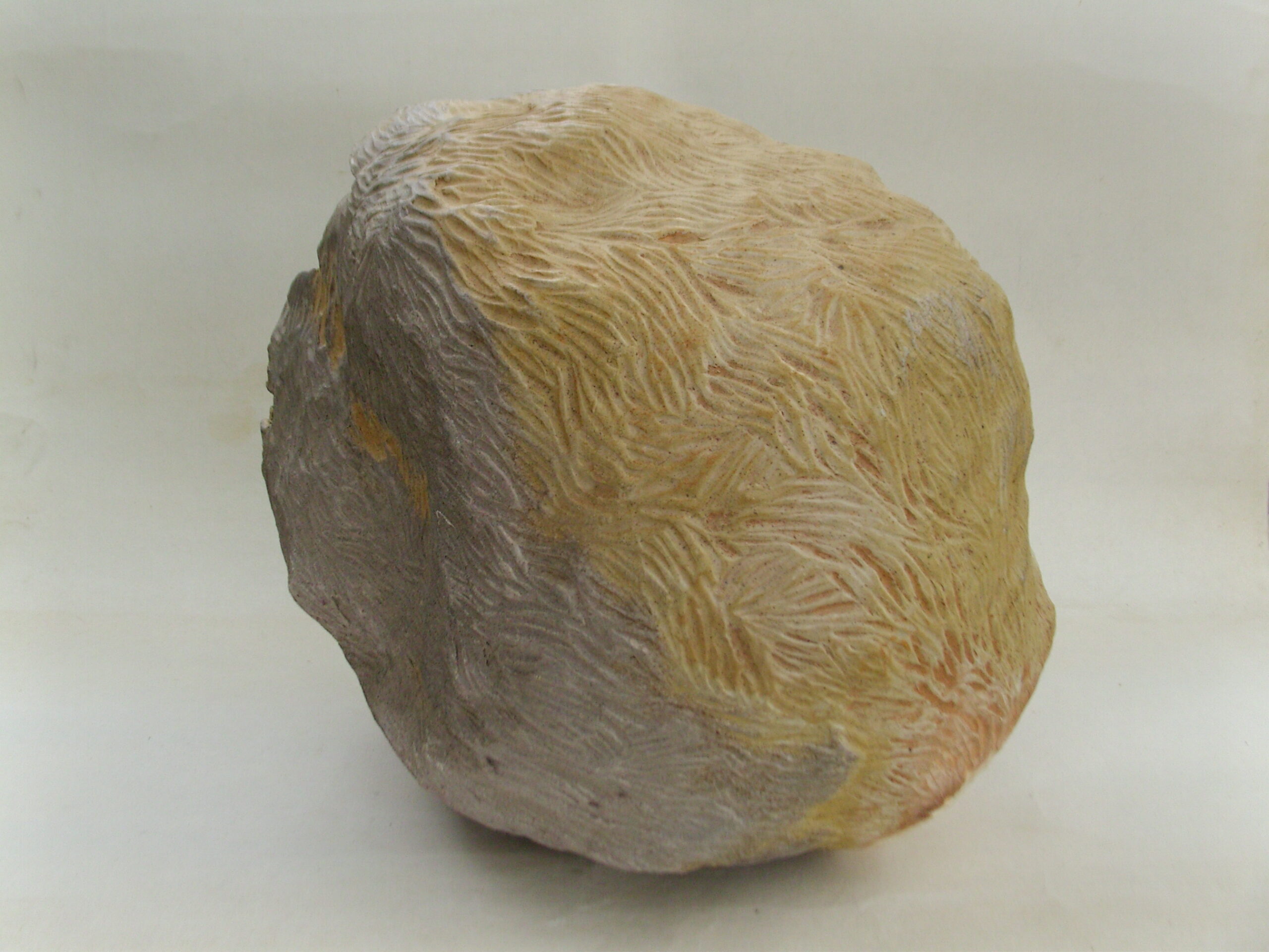 SNB18271 1 scaled | Manon Berthellot | Chrysalide | Produit | 350,00 € | 11333 | Sculpture en grès blanc, cuisson en four à bois japonais "Anagama", durant 100h, 1300° | Manon Berthellot | Terre et Terres | 13 mars 2025