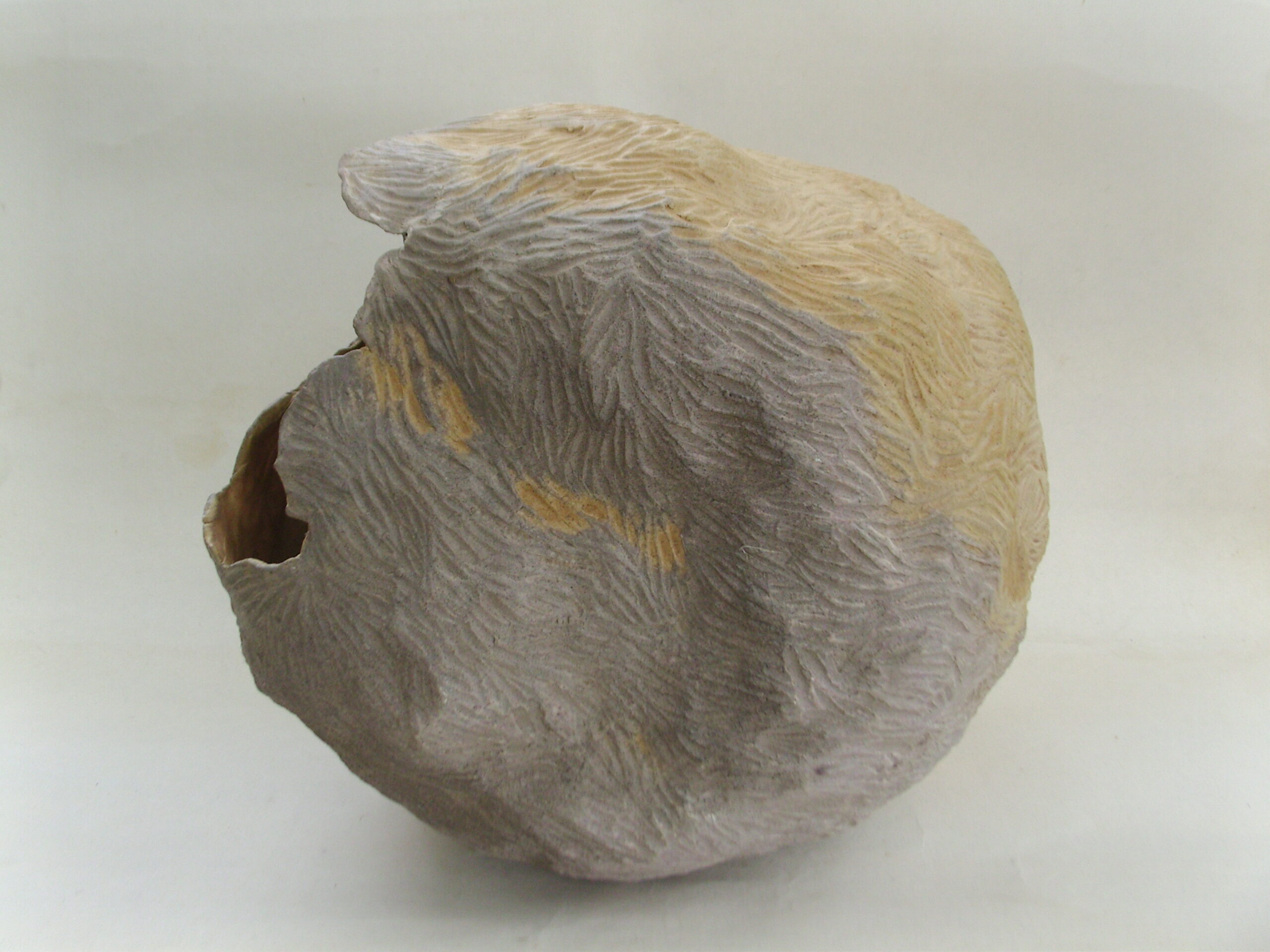 SNB18274 scaled | Manon Berthellot | Chrysalide | Produit | 350,00 € | 11333 | Sculpture en grès blanc, cuisson en four à bois japonais "Anagama", durant 100h, 1300° | Manon Berthellot | Terre et Terres | 13 mars 2025