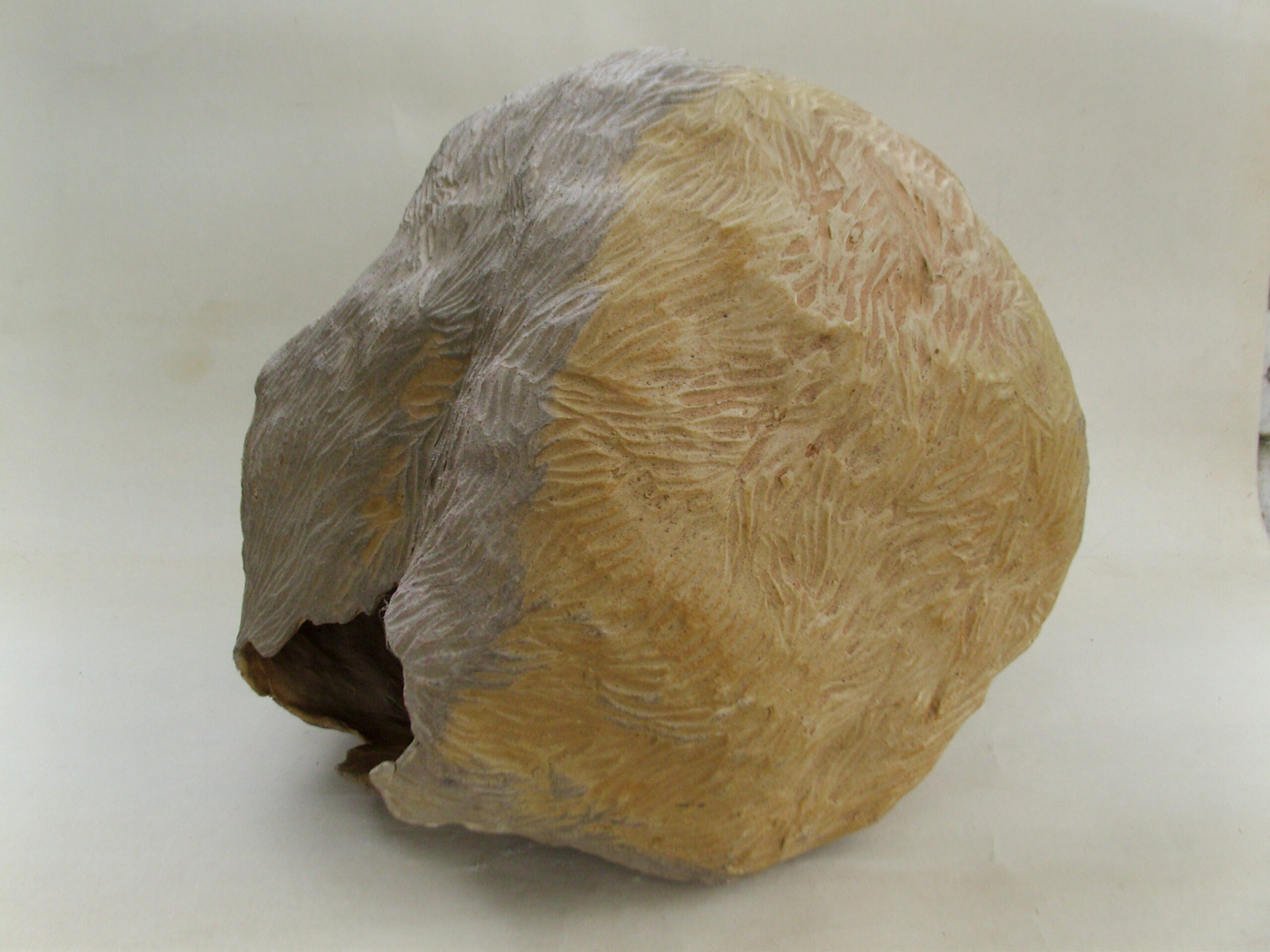 SNB18276 scaled | Manon Berthellot | Chrysalide | Produit | 350,00 € | 11333 | Sculpture en grès blanc, cuisson en four à bois japonais "Anagama", durant 100h, 1300° | Manon Berthellot | Terre et Terres | 13 mars 2025