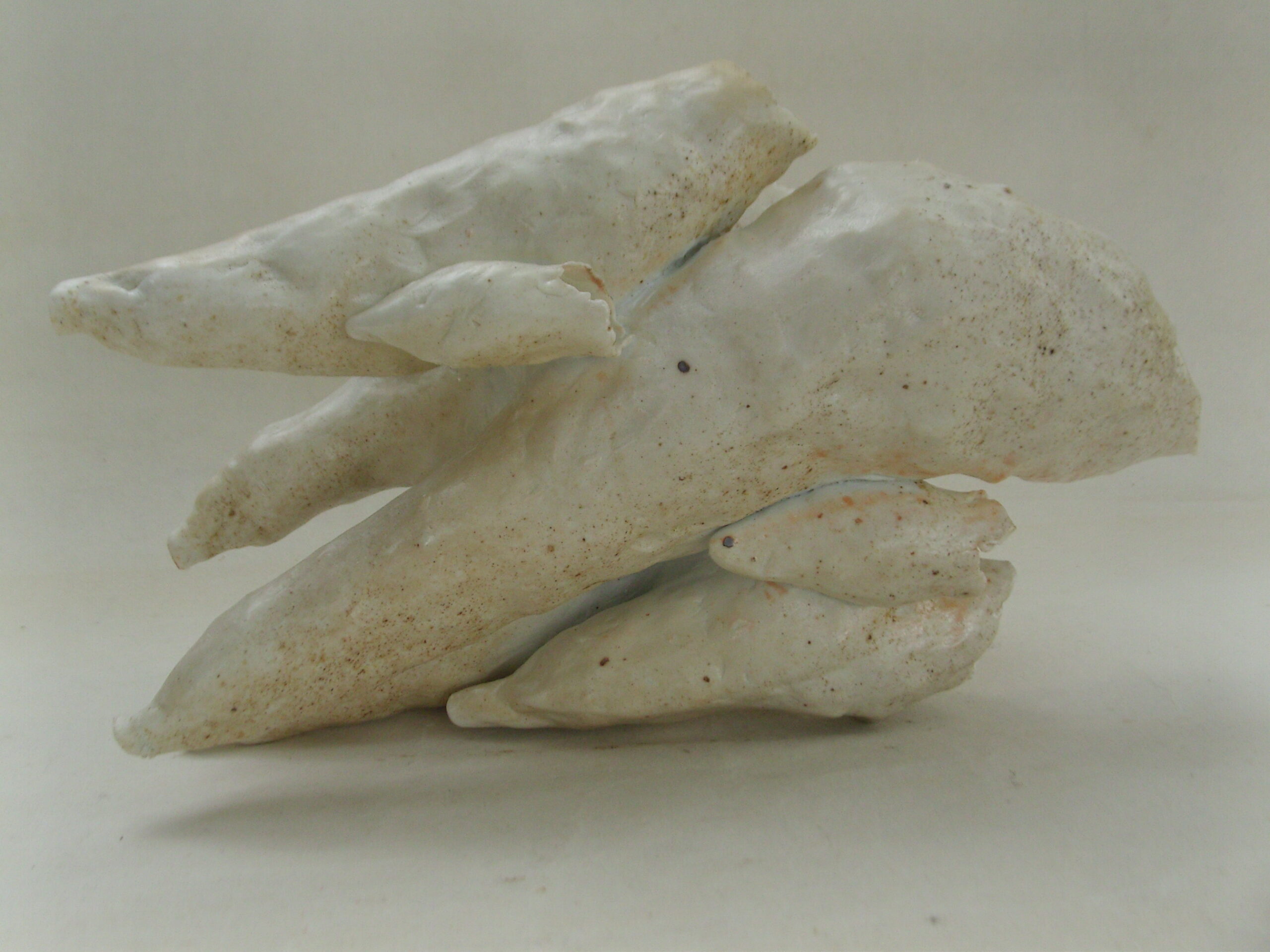 SNB18296 scaled | Manon Berthellot | "Cétacéa" | Produit | 400,00 € | "Cétacéa" Porcelaine modelée, pièce unique, cuisson au bois à 1300°, 50h, Four Anagama. Dépôt de cendres naturel. | Manon Berthellot | Terre et Terres | 29 août 2025