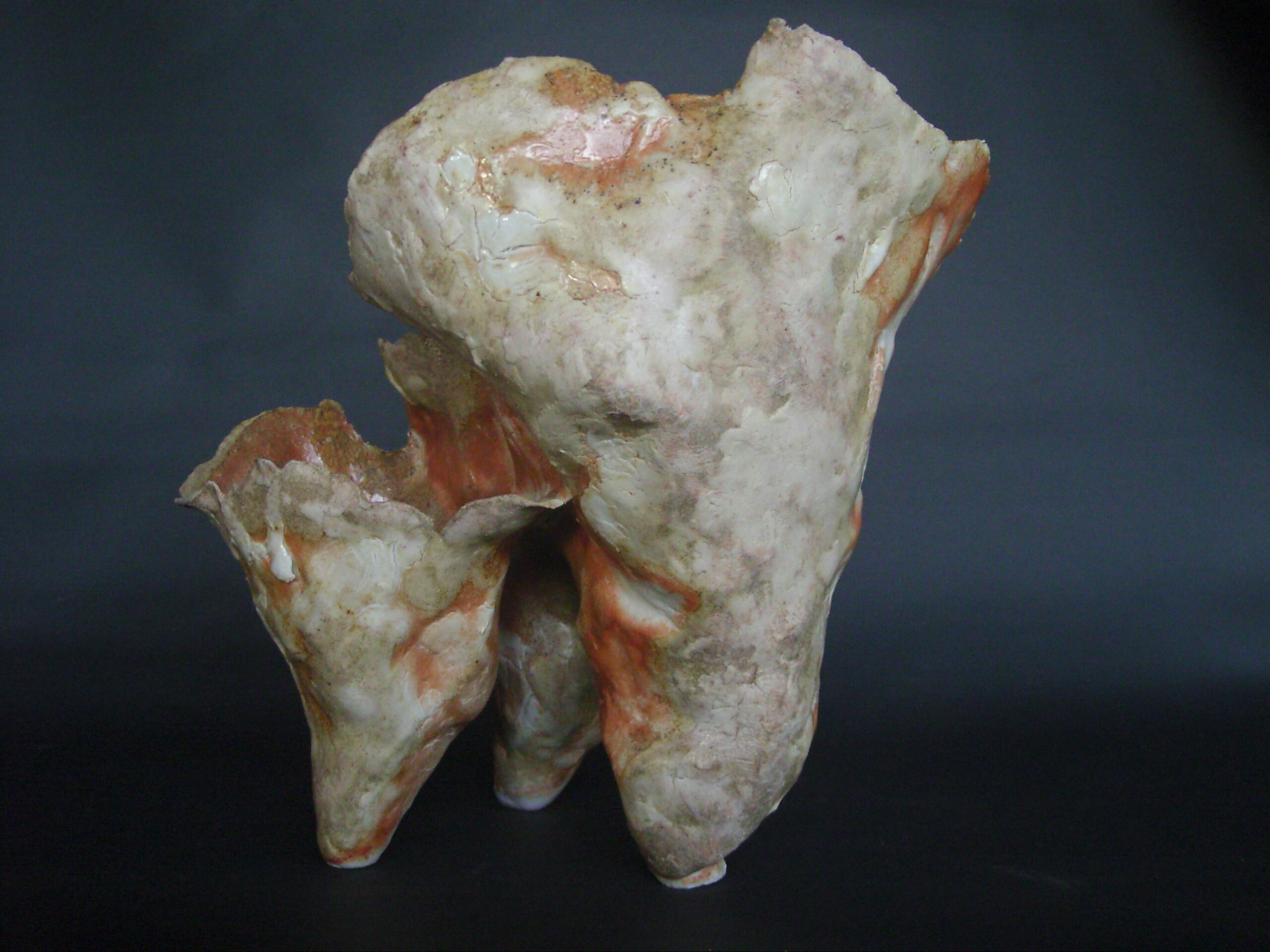 Chanterelles