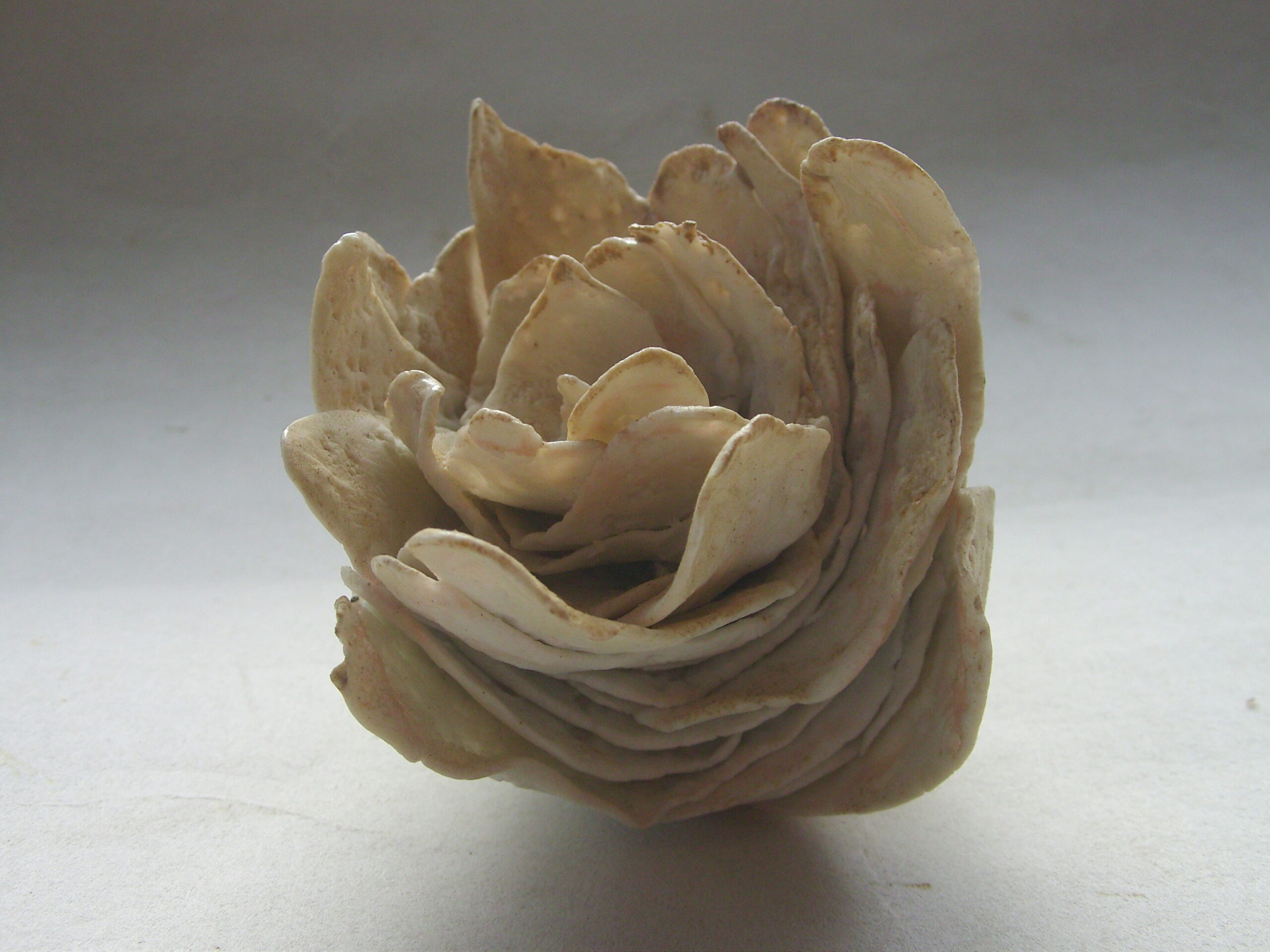 SNB11342 scaled | Manon Berthellot | Eclosion | Produit | 45,00 € | Sculpture céramique, pièce unique modelée en porcelaine, cuisson au bois Four Anagama, 1300° en 50h | Manon Berthellot | Terre et Terres | 9 janvier 2023