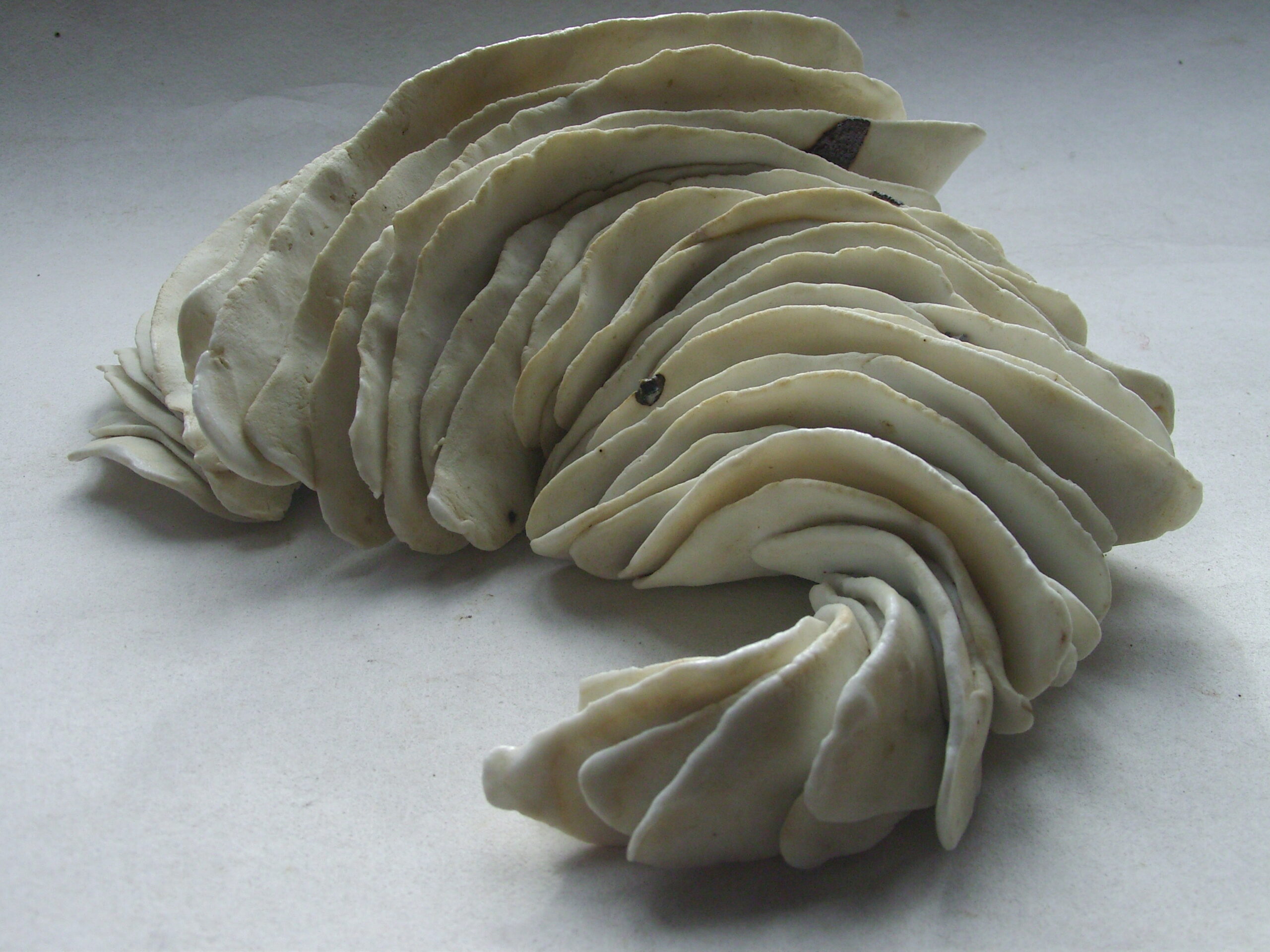 SNB11480 scaled | Manon Berthellot | Plumes | Produit | 90,00 € | 9350 | concrétion céramique modelée en porcelaine, cuisson au bois | Manon Berthellot | Terre et Terres | 9 janvier 2023