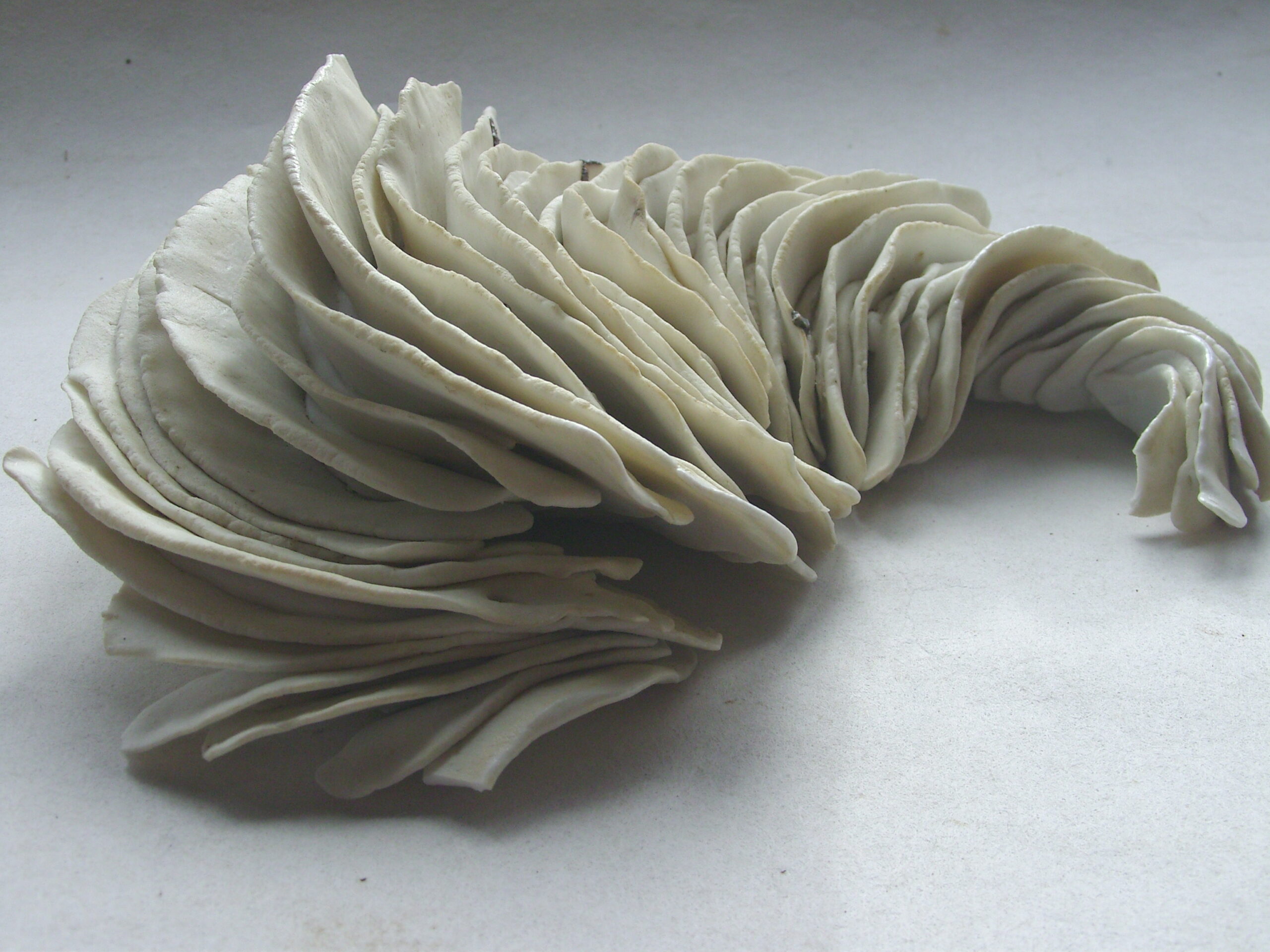 SNB11481 scaled | Sylvie Delphaut | Plumes | Produit | Terre et Terres | 9 janvier 2023
