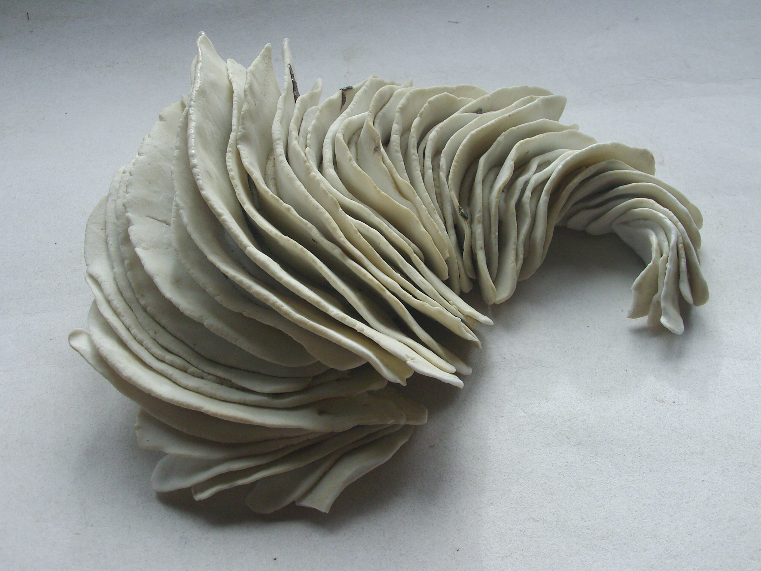 SNB11482 scaled | Manon Berthellot | Plumes | Produit | 90,00 € | 9350 | concrétion céramique modelée en porcelaine, cuisson au bois | Manon Berthellot | Terre et Terres | 9 janvier 2023