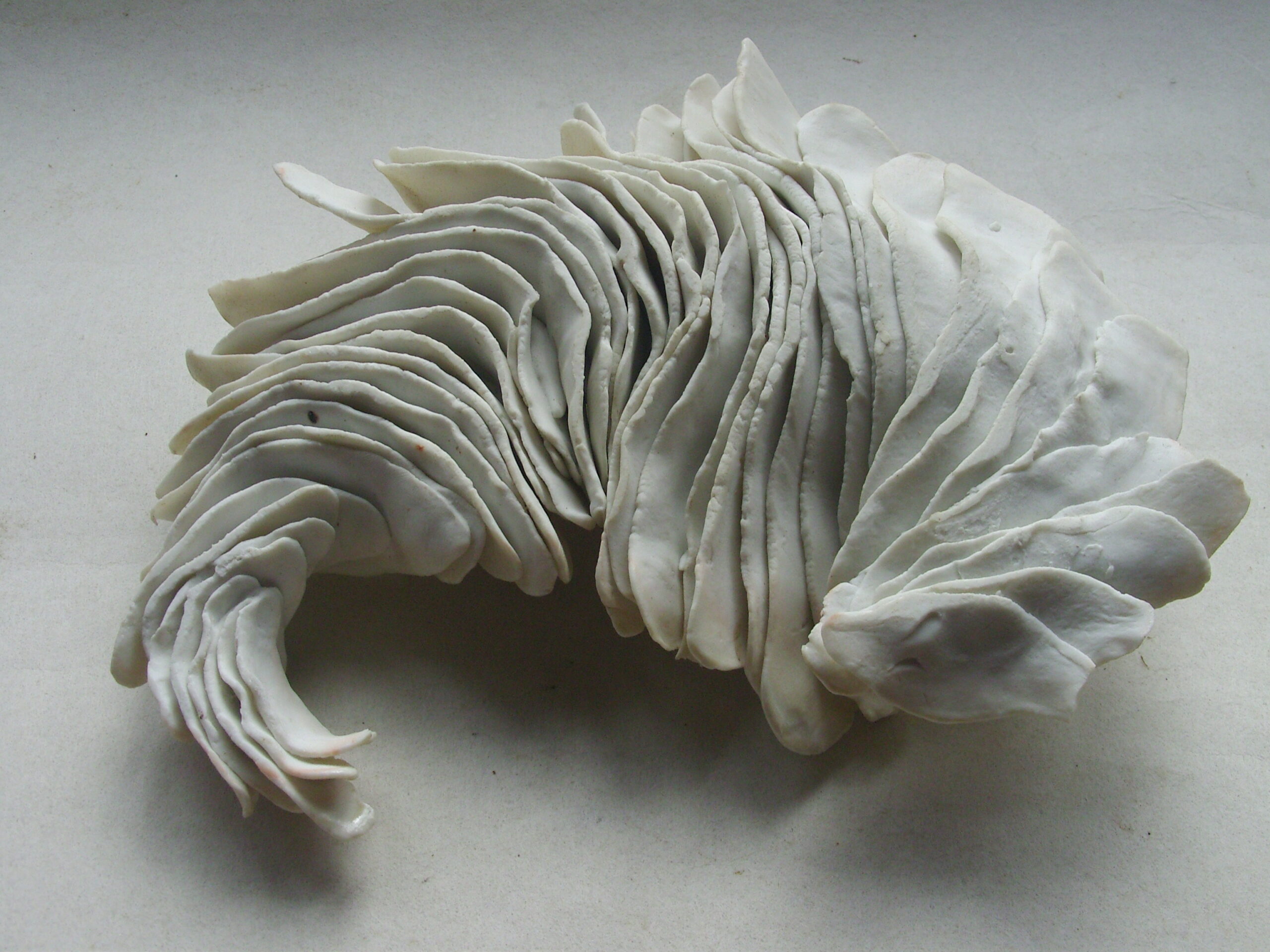 SNB11489 scaled | Manon Berthellot | Plumes | Produit | 90,00 € | 9350 | concrétion céramique modelée en porcelaine, cuisson au bois | Manon Berthellot | Terre et Terres | 9 janvier 2023