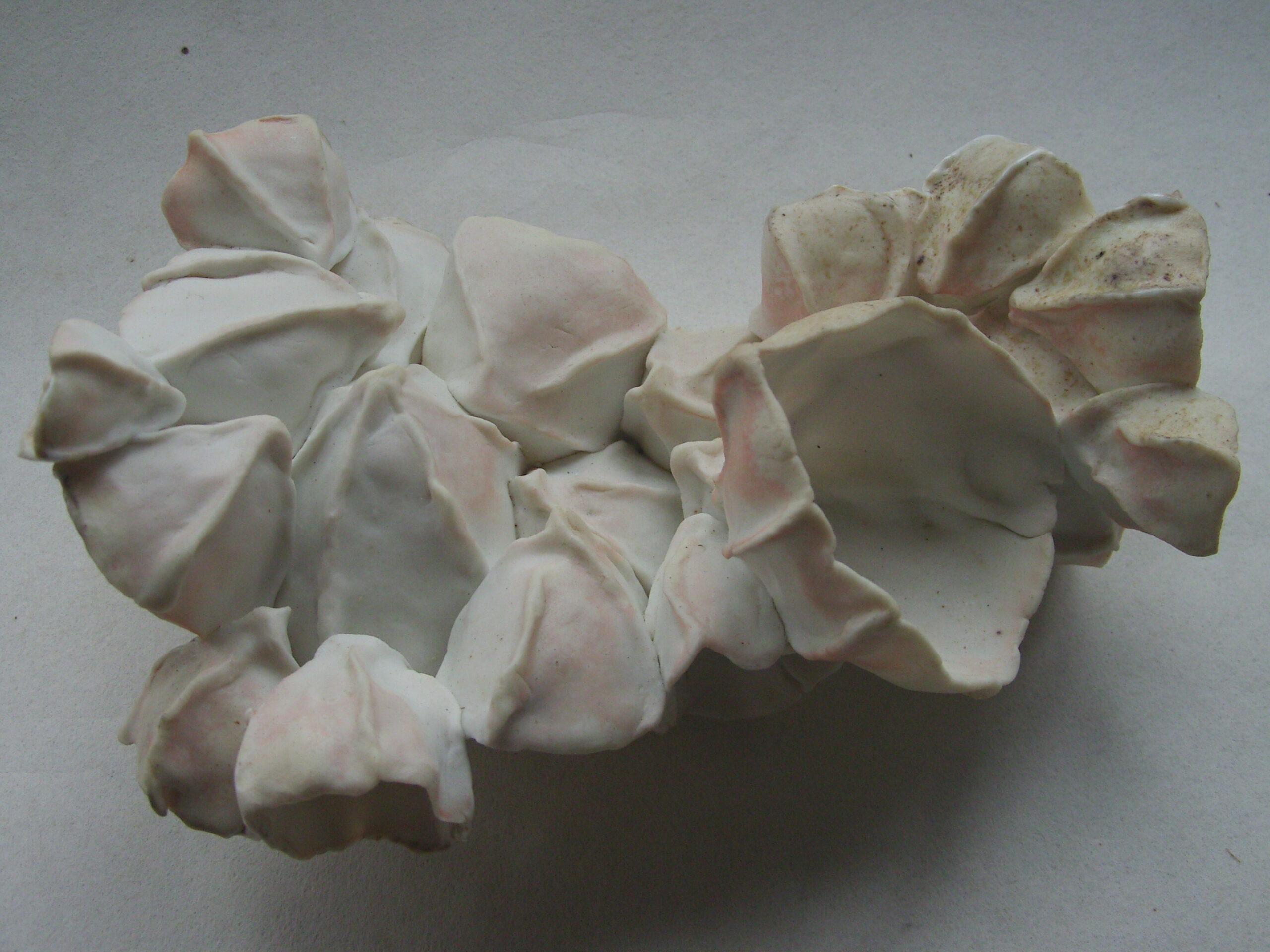 SNB11634 scaled | Manon Berthellot | Papillon de mer | Produit | 100,00 € | concrétion céramique en porcelaine modelée, cuisson au bois, 1300° en 50h en Four Anagama | Manon Berthellot | Terre et Terres | 11 janvier 2023