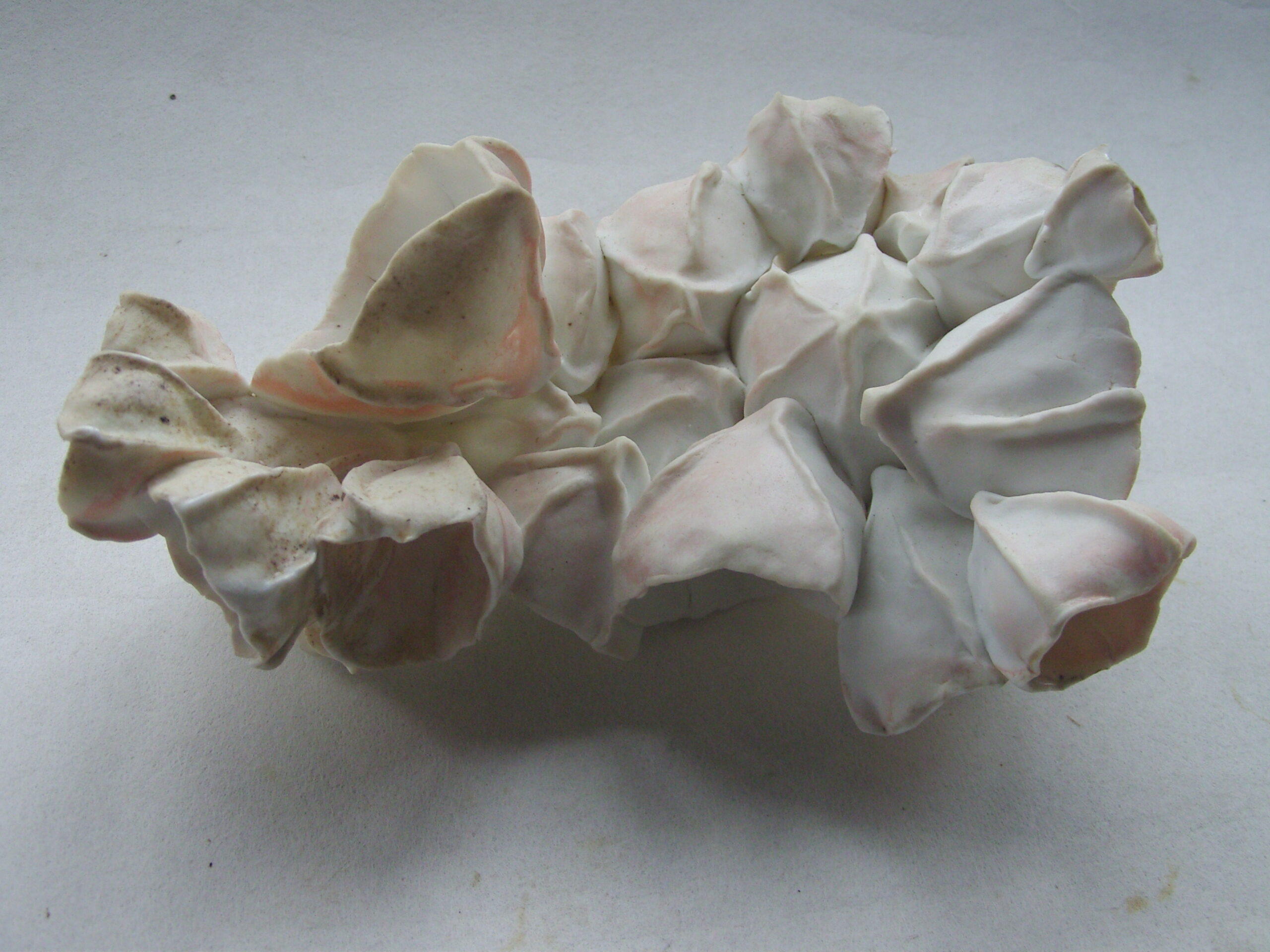SNB11641 scaled | Manon Berthellot | Papillon de mer | Produit | 100,00 € | concrétion céramique en porcelaine modelée, cuisson au bois, 1300° en 50h en Four Anagama | Manon Berthellot | Terre et Terres | 11 janvier 2023
