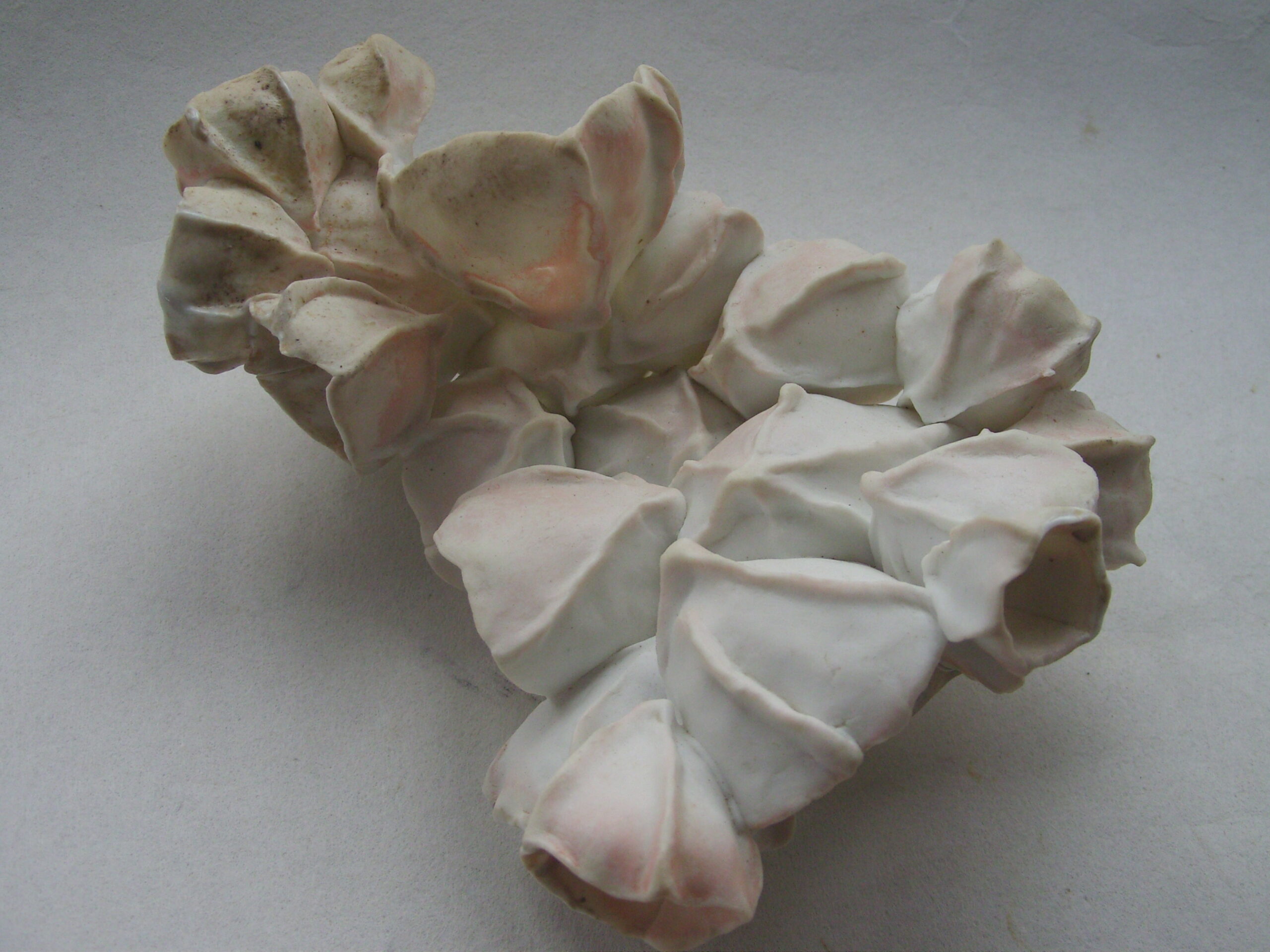 SNB11644 scaled | Manon Berthellot | Papillon de mer | Produit | 100,00 € | concrétion céramique en porcelaine modelée, cuisson au bois, 1300° en 50h en Four Anagama | Manon Berthellot | Terre et Terres | 11 janvier 2023