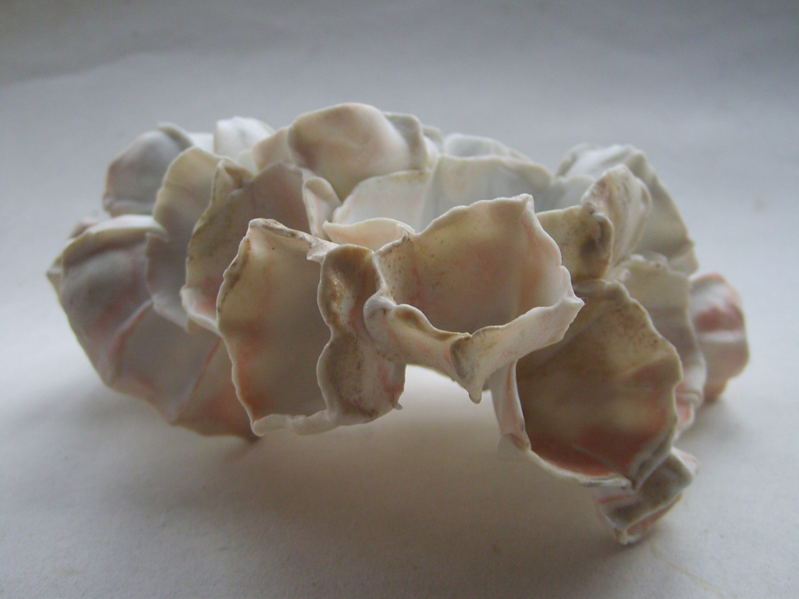 SNB11650 scaled | Manon Berthellot | Papillon de mer | Produit | 100,00 € | concrétion céramique en porcelaine modelée, cuisson au bois, 1300° en 50h en Four Anagama | Manon Berthellot | Terre et Terres | 11 janvier 2023