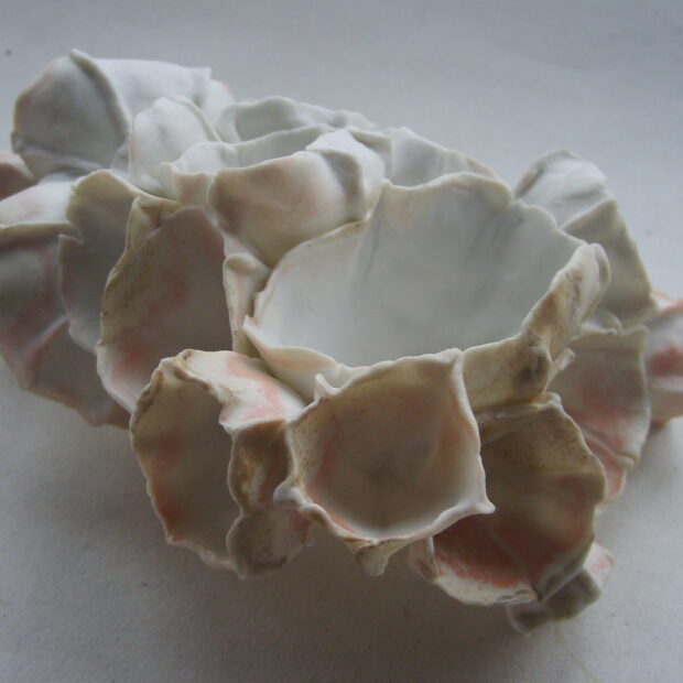 SNB11651 | Manon Berthellot | Papillon de mer | Produit | Terre et Terres | 11 janvier 2023