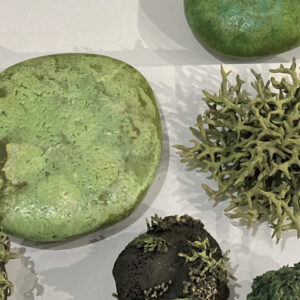 groupe de piece verts | Terre et Terres | Exposition | Exposition 2024 Vert[s] du 20 avril au 16 juin 2024 | Article | Terre et Terres | 29 avril 2024