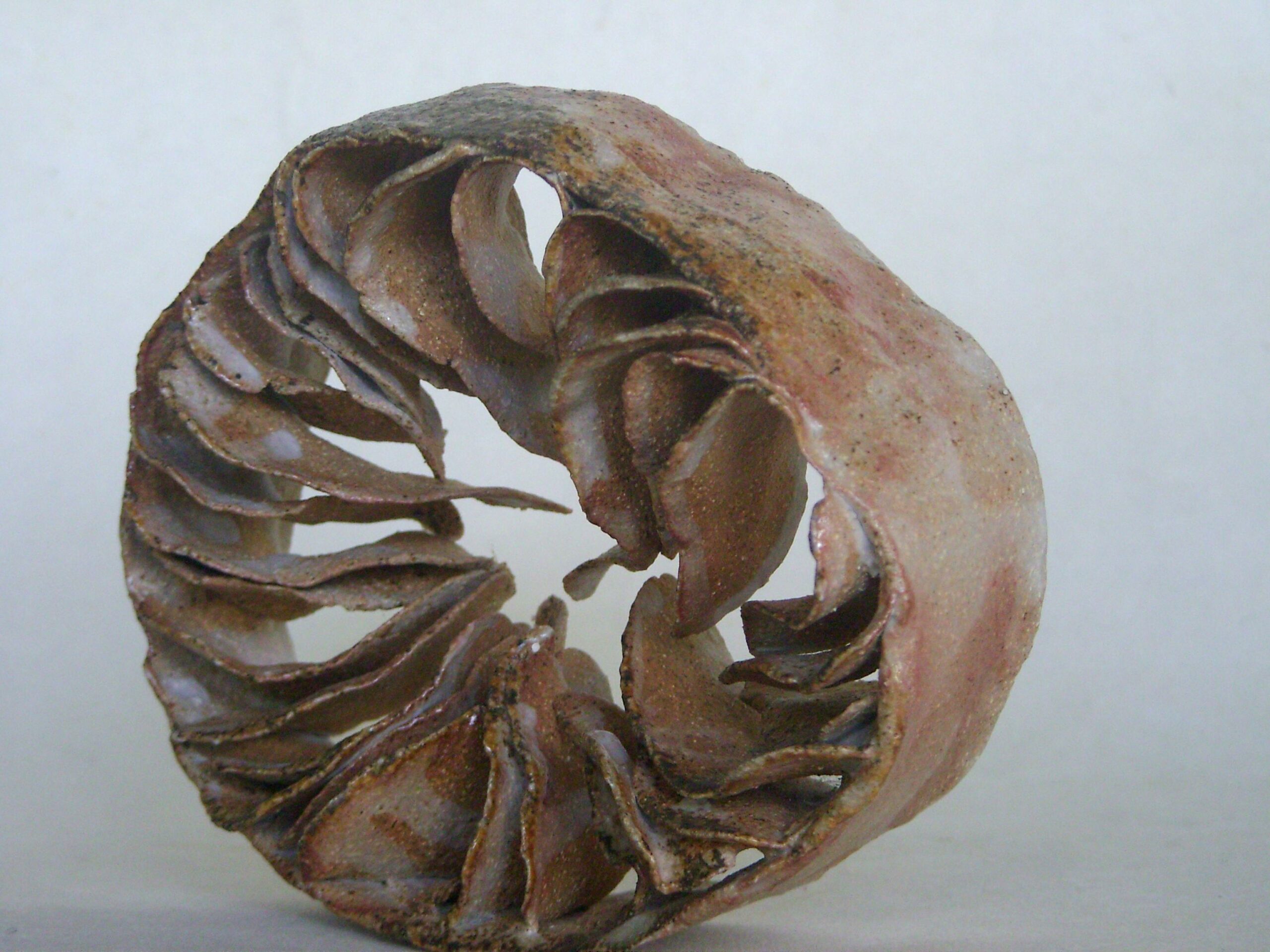 fanons oranges 6 scaled | Manon Berthellot | Fanons mouchetés | Produit | 95,00 € | Pièce unique en grès modelé, engobe de porcelaine et émail naturel de cendres dû à la cuisson au bois en four Anagama, 1300° | Manon Berthellot | Terre et Terres | 19 décembre 2024