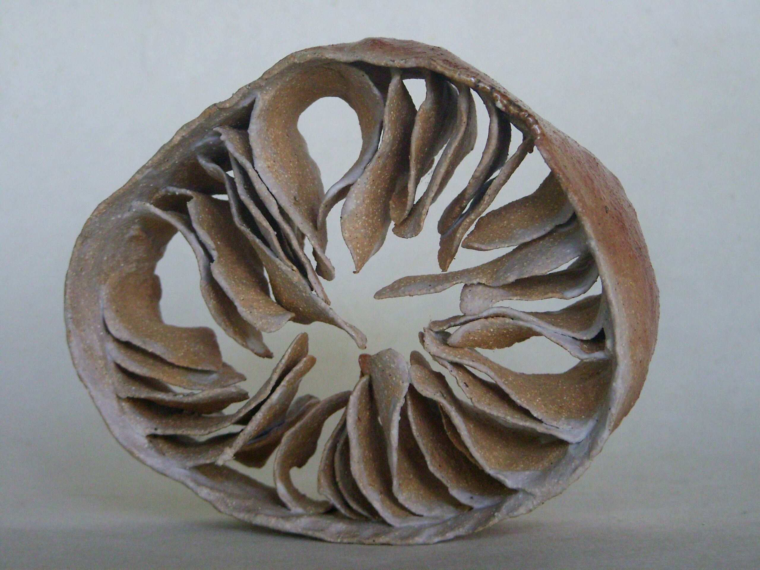 fanons ranges2 scaled | Manon Berthellot | Fanons mouchetés | Produit | 95,00 € | Pièce unique en grès modelé, engobe de porcelaine et émail naturel de cendres dû à la cuisson au bois en four Anagama, 1300° | Manon Berthellot | Terre et Terres | 19 décembre 2024