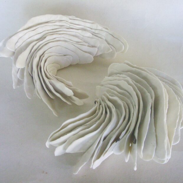 les ailes | Manon Berthellot | Utilitaire | Les ailes | Utilitaire | Produit | Terre et Terres | 13 mars 2025