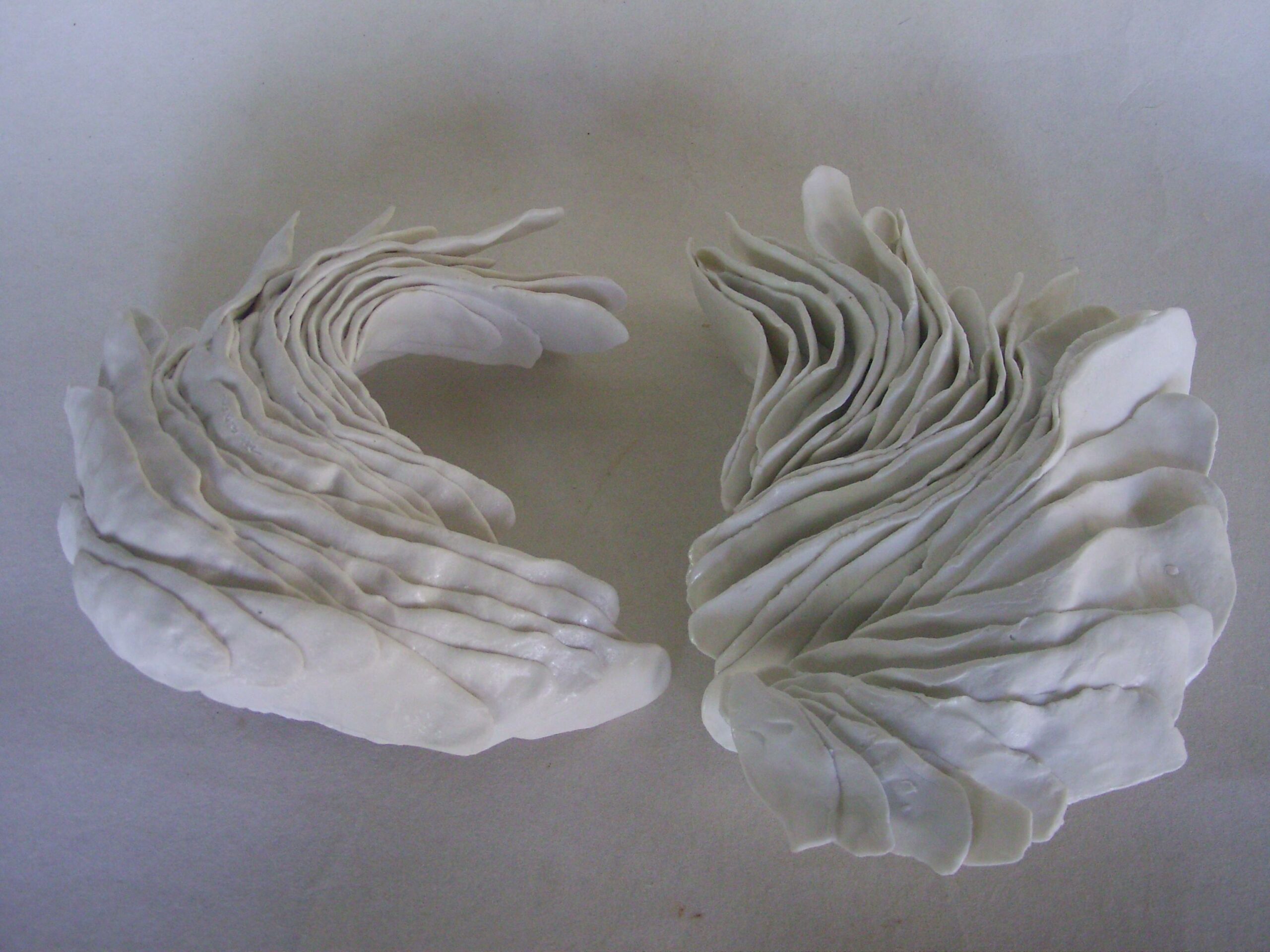 les ailes dessous scaled | Manon Berthellot | Les ailes | Produit | 230,00 € | Pièce unique en porcelaine modelée, 1250° | Manon Berthellot | Terre et Terres | 13 mars 2025