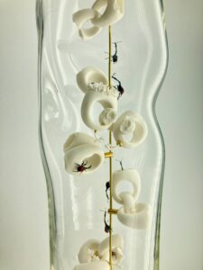 IMG 1257 | Terre et Terres | Exposition | Accueil | Article | Terre et Terres | 12 février 2025