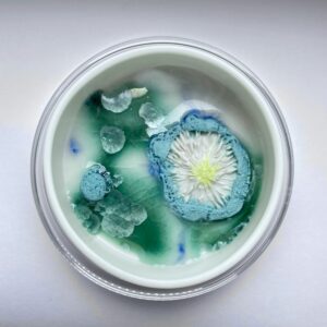 Accueil | Terre et Terres IMG 8241 | Terre et Terres | Exposition | Accueil | Article | Terre et Terres | 12 février 2025