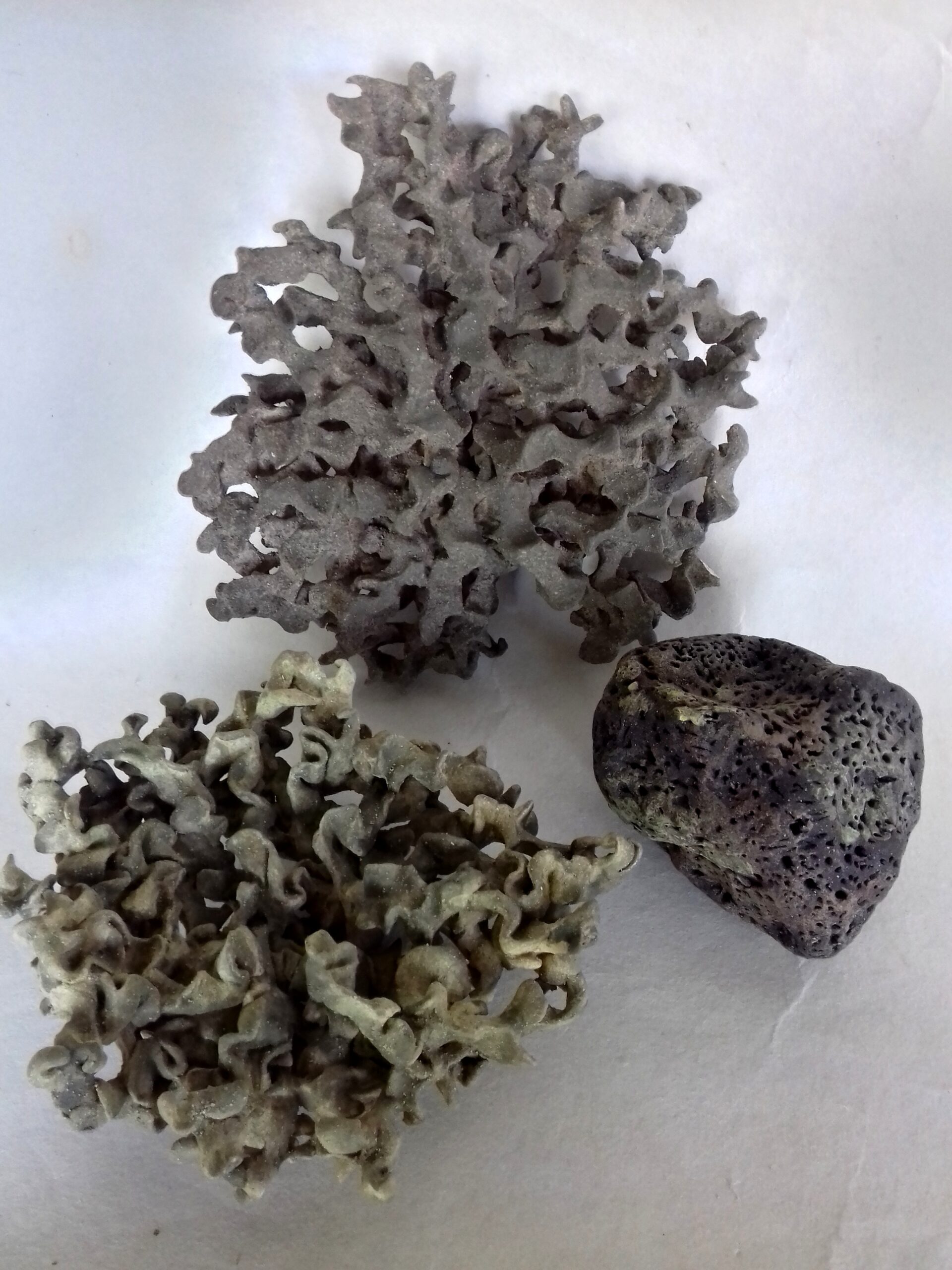 deux lichens tortueux et caillou vert