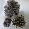 Deux lichens verts tortueux et petit caillou | Sylviane Perret deux lichens tortueux et caillou vert.1 | Sylviane Perret | Deux lichens verts tortueux et petit caillou | Produit | Terre et Terres | 21 juin 2026