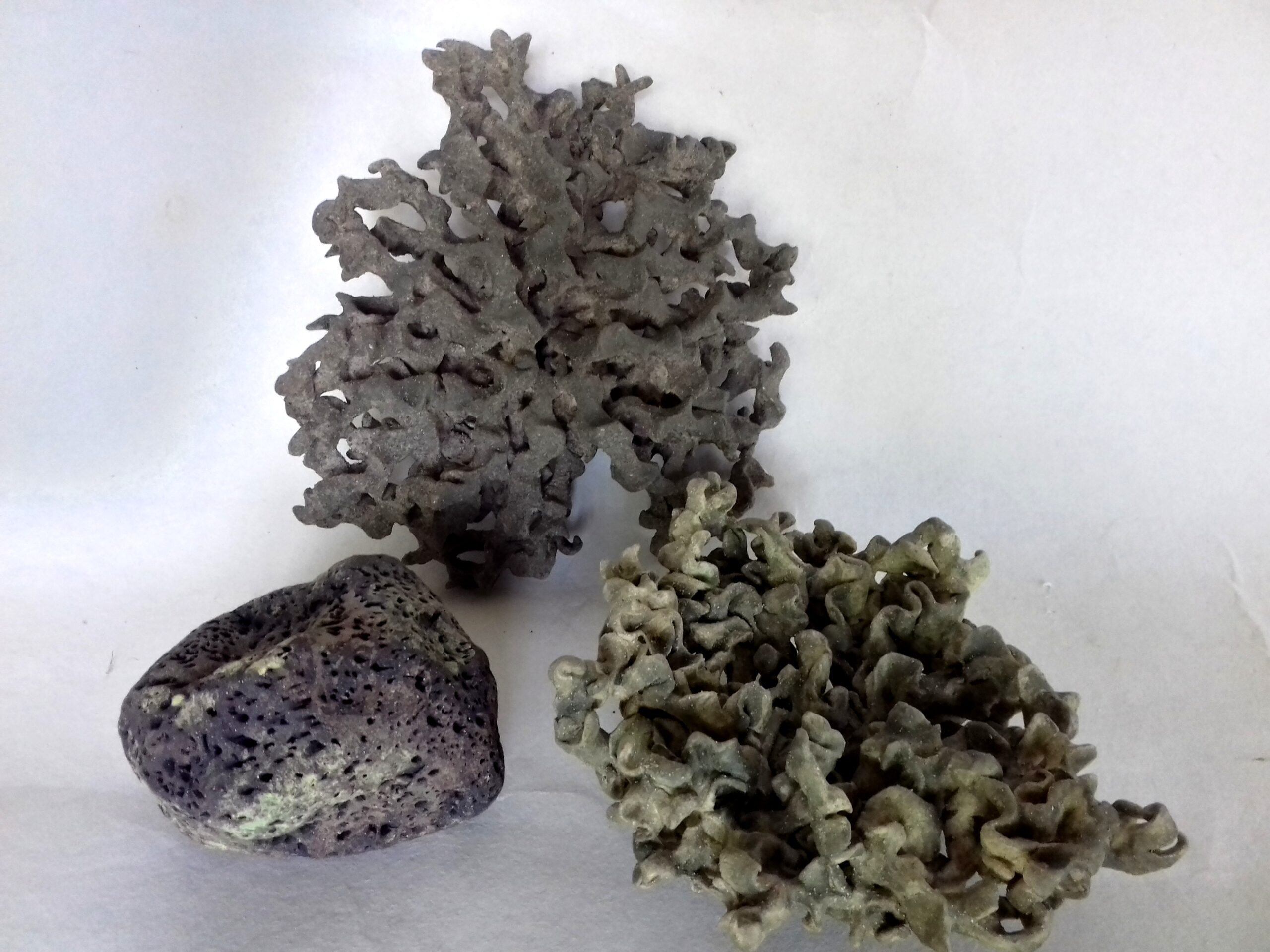 deux lichens tortueux et caillou vert