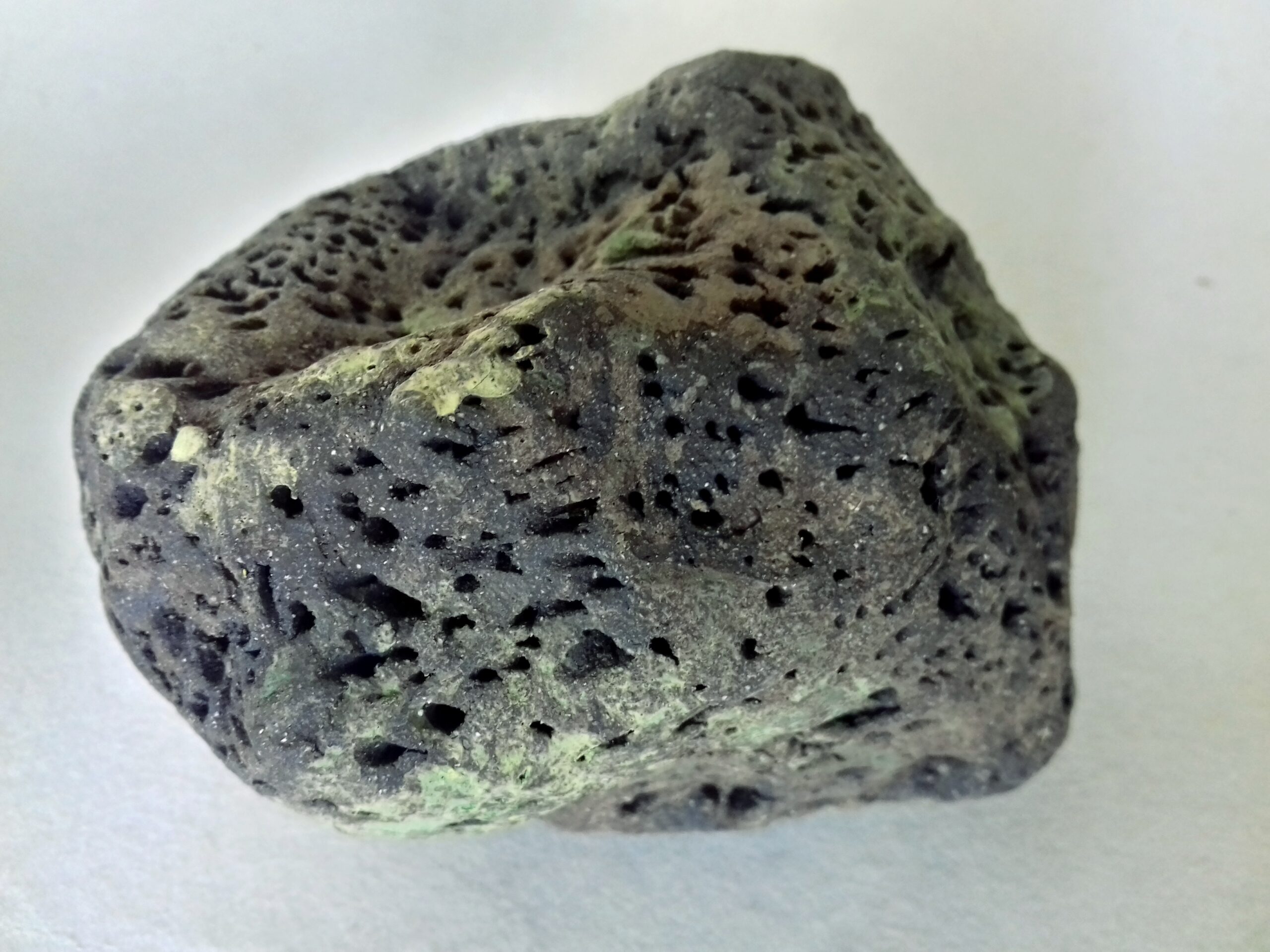 deux lichens tortueux et caillou vert